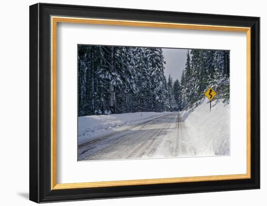 View of road between forest at winter day-Panoramic Images-Framed Photographic Print