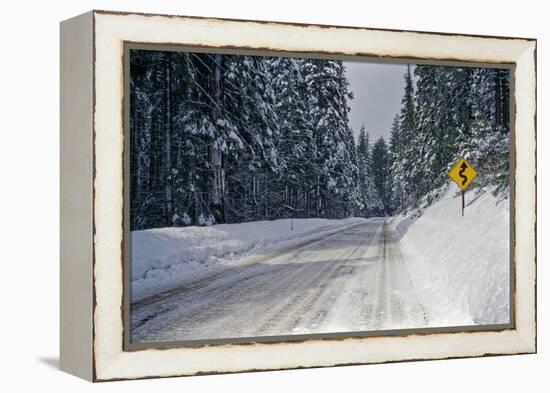 View of road between forest at winter day-Panoramic Images-Framed Premier Image Canvas