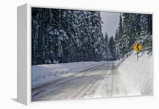 View of road between forest at winter day-Panoramic Images-Framed Premier Image Canvas
