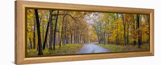 View of road in forest, Stephen A. Forbes State Park, Marion Co., Illinois, USA-Panoramic Images-Framed Premier Image Canvas
