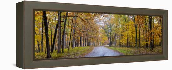 View of road in forest, Stephen A. Forbes State Park, Marion Co., Illinois, USA-Panoramic Images-Framed Premier Image Canvas