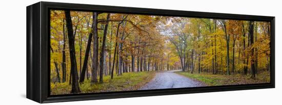 View of road in forest, Stephen A. Forbes State Park, Marion Co., Illinois, USA-Panoramic Images-Framed Premier Image Canvas