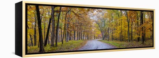 View of road in forest, Stephen A. Forbes State Park, Marion Co., Illinois, USA-Panoramic Images-Framed Premier Image Canvas