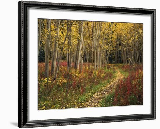 View of Road, Louisville, Kentucky, USA-Adam Jones-Framed Photographic Print