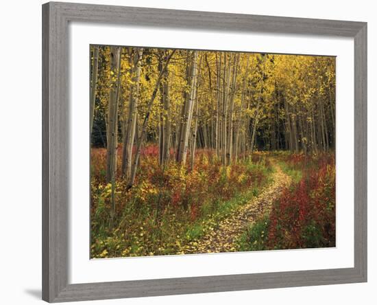 View of Road, Louisville, Kentucky, USA-Adam Jones-Framed Photographic Print