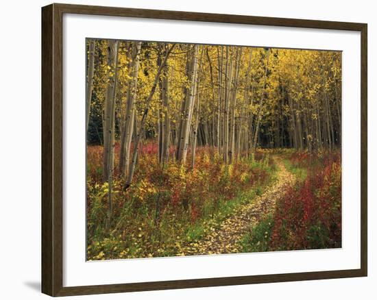 View of Road, Louisville, Kentucky, USA-Adam Jones-Framed Photographic Print