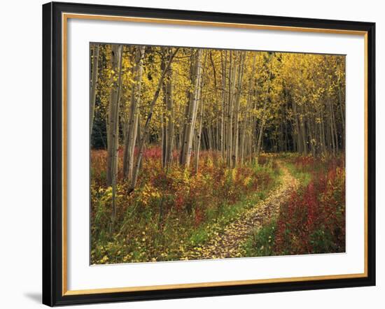 View of Road, Louisville, Kentucky, USA-Adam Jones-Framed Photographic Print