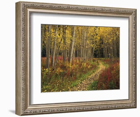 View of Road, Louisville, Kentucky, USA-Adam Jones-Framed Photographic Print