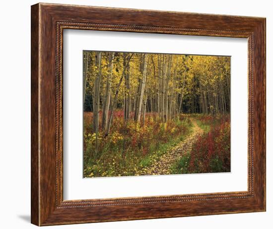 View of Road, Louisville, Kentucky, USA-Adam Jones-Framed Photographic Print