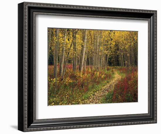 View of Road, Louisville, Kentucky, USA-Adam Jones-Framed Photographic Print