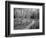 View of Road, Louisville, Kentucky, USA-Adam Jones-Framed Photographic Print