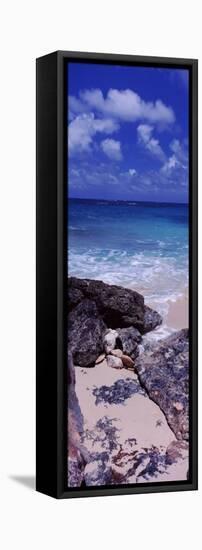 View of Rocks on the Beach, Island Harbour, Anguilla-null-Framed Premier Image Canvas