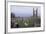 View of Ruins of St. Andrews Cathedral with Tower of St. Rule, Fife, Scotland, 12th-15th Century-null-Framed Giclee Print