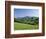 View of Rural Landscape, Pyrenees-Atlantiques, Pays-Basque, France-David Barnes-Framed Photographic Print