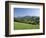 View of Rural Landscape, Pyrenees-Atlantiques, Pays-Basque, France-David Barnes-Framed Photographic Print