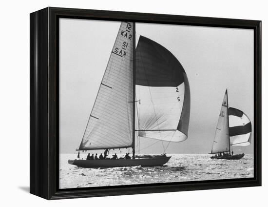View of Sailboats During the America's Cup Trials-George Silk-Framed Premier Image Canvas