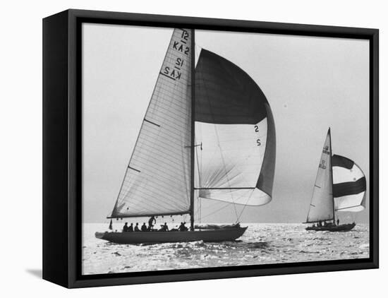 View of Sailboats During the America's Cup Trials-George Silk-Framed Premier Image Canvas