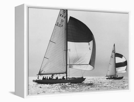 View of Sailboats During the America's Cup Trials-George Silk-Framed Premier Image Canvas