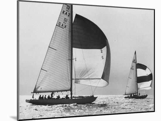 View of Sailboats During the America's Cup Trials-George Silk-Mounted Photographic Print