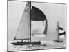 View of Sailboats During the America's Cup Trials-George Silk-Mounted Photographic Print