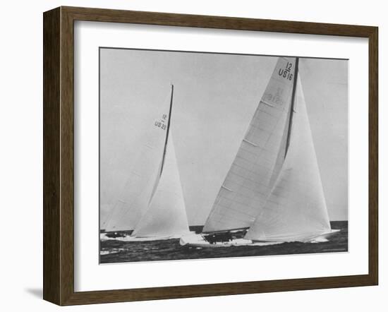 View of Sailboats Intrepid and Columbia During the America's Cup Trials-George Silk-Framed Photographic Print