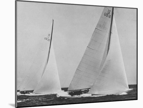 View of Sailboats Intrepid and Columbia During the America's Cup Trials-George Silk-Mounted Photographic Print