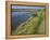 View of Salt Marshes from the Solent Way Footpath, New Forest National Park, Lymington, Hampshire, -David Hughes-Framed Premier Image Canvas