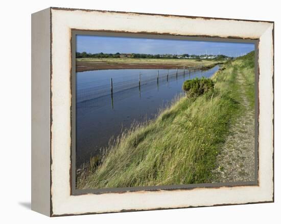 View of Salt Marshes from the Solent Way Footpath, New Forest National Park, Lymington, Hampshire, -David Hughes-Framed Premier Image Canvas