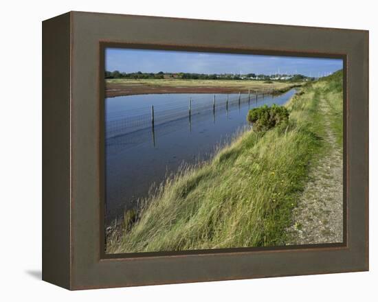 View of Salt Marshes from the Solent Way Footpath, New Forest National Park, Lymington, Hampshire, -David Hughes-Framed Premier Image Canvas