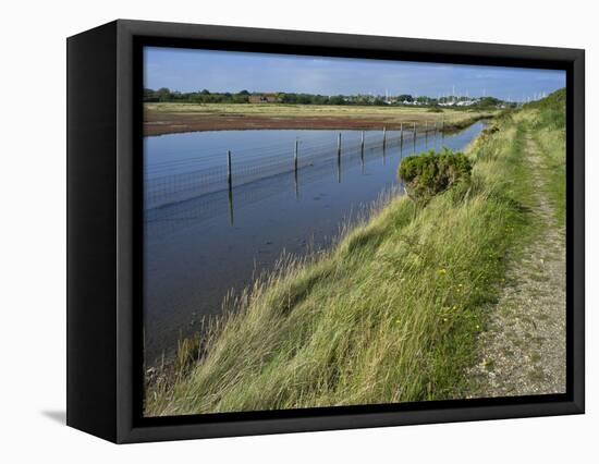 View of Salt Marshes from the Solent Way Footpath, New Forest National Park, Lymington, Hampshire, -David Hughes-Framed Premier Image Canvas