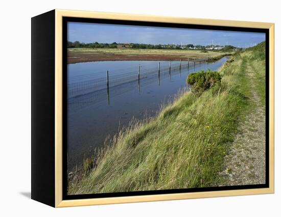 View of Salt Marshes from the Solent Way Footpath, New Forest National Park, Lymington, Hampshire, -David Hughes-Framed Premier Image Canvas