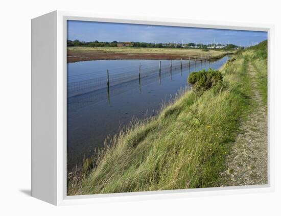 View of Salt Marshes from the Solent Way Footpath, New Forest National Park, Lymington, Hampshire, -David Hughes-Framed Premier Image Canvas