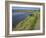 View of Salt Marshes from the Solent Way Footpath, New Forest National Park, Lymington, Hampshire, -David Hughes-Framed Photographic Print