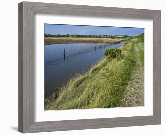 View of Salt Marshes from the Solent Way Footpath, New Forest National Park, Lymington, Hampshire, -David Hughes-Framed Photographic Print