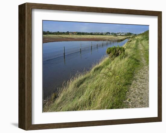 View of Salt Marshes from the Solent Way Footpath, New Forest National Park, Lymington, Hampshire, -David Hughes-Framed Photographic Print