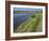 View of Salt Marshes from the Solent Way Footpath, New Forest National Park, Lymington, Hampshire, -David Hughes-Framed Photographic Print