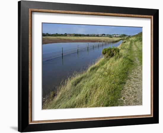 View of Salt Marshes from the Solent Way Footpath, New Forest National Park, Lymington, Hampshire, -David Hughes-Framed Photographic Print