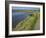 View of Salt Marshes from the Solent Way Footpath, New Forest National Park, Lymington, Hampshire, -David Hughes-Framed Photographic Print