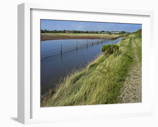 View of Salt Marshes from the Solent Way Footpath, New Forest National Park, Lymington, Hampshire, -David Hughes-Framed Photographic Print