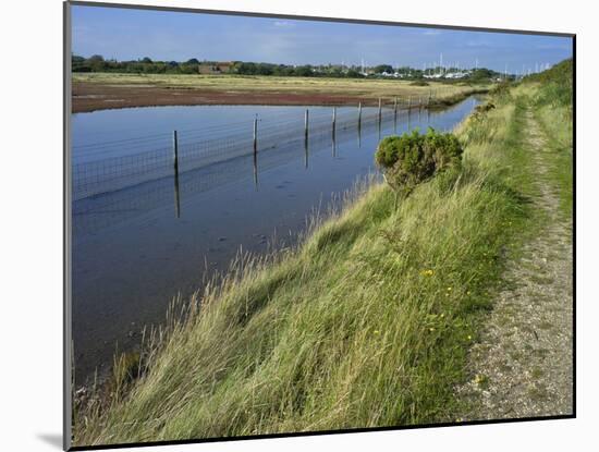 View of Salt Marshes from the Solent Way Footpath, New Forest National Park, Lymington, Hampshire, -David Hughes-Mounted Photographic Print