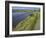 View of Salt Marshes from the Solent Way Footpath, New Forest National Park, Lymington, Hampshire, -David Hughes-Framed Photographic Print