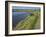 View of Salt Marshes from the Solent Way Footpath, New Forest National Park, Lymington, Hampshire, -David Hughes-Framed Photographic Print