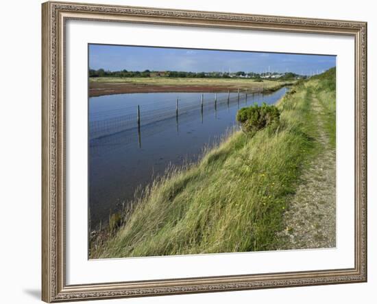 View of Salt Marshes from the Solent Way Footpath, New Forest National Park, Lymington, Hampshire, -David Hughes-Framed Photographic Print