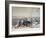 View of Sevastopol from the Sea, 1855-William Simpson-Framed Giclee Print