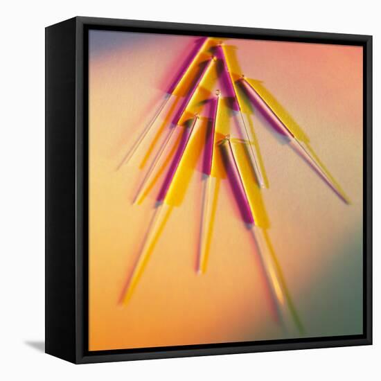 View of Several Acupuncture Needles-Tek Image-Framed Premier Image Canvas