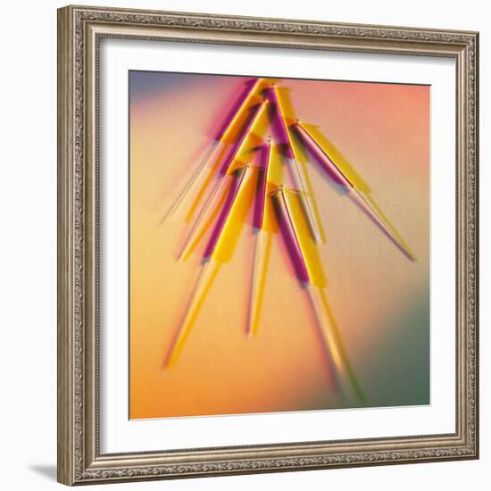 View of Several Acupuncture Needles-Tek Image-Framed Premium Photographic Print