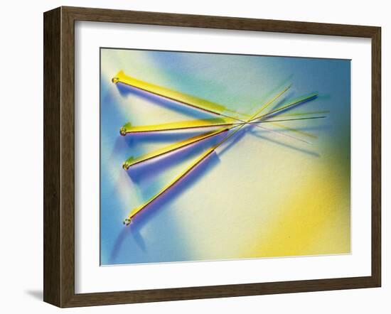 View of Several Acupuncture Needles-Tek Image-Framed Photographic Print