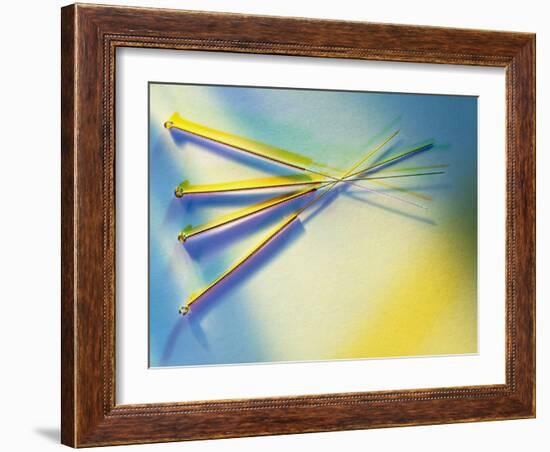 View of Several Acupuncture Needles-Tek Image-Framed Photographic Print