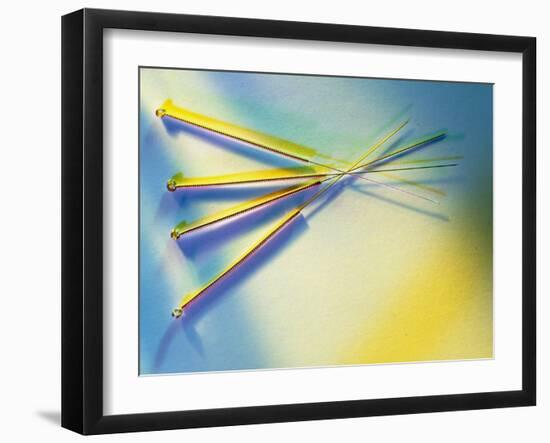 View of Several Acupuncture Needles-Tek Image-Framed Photographic Print