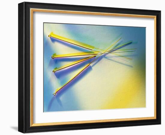 View of Several Acupuncture Needles-Tek Image-Framed Photographic Print